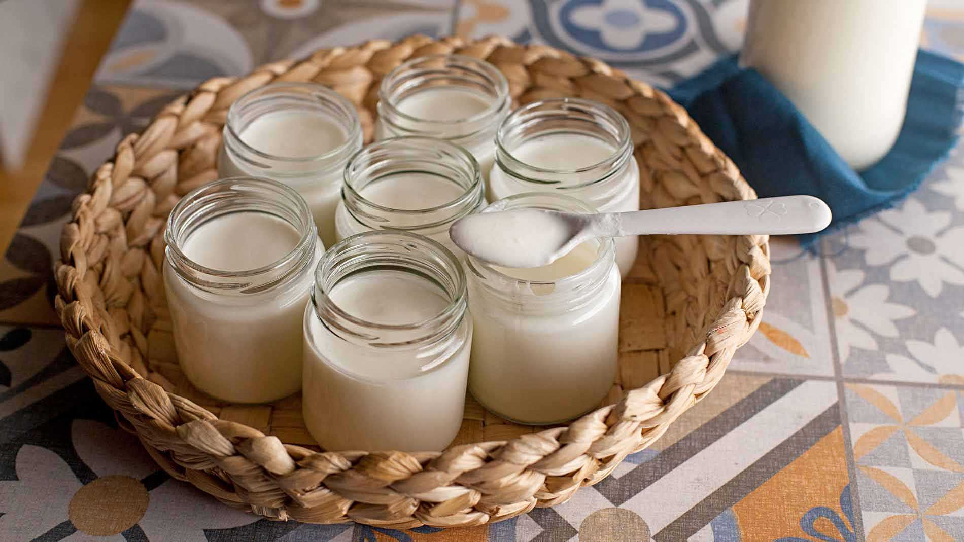 Yogurt